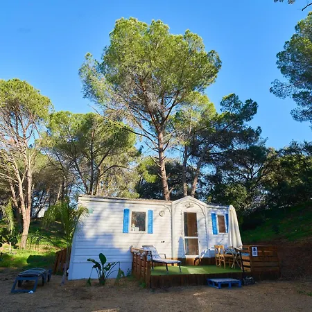 Zaluay - Mobile Homes-3