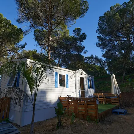 Zaluay - Mobile Homes-2